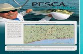 PESCA - ct.gov · Método de pesca • Pesca de pie con cebo vivo • Pesca vertical y pesca por curricán ... el cangrejo azul, la vaca rayada y la tautoga negra se pueden pescar