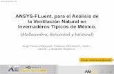 ANSYS-FLuent, para el Análisis de la Ventilación … · ANSYS-FLuent, para el Análisis de la Ventilación Natural en Invernaderos Típicos de México. (Mallasombra, Baticenital