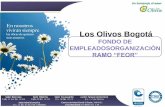 Los Olivos Bogotá - fondoramo.com RAMO.pdf · PORQUE LOS OLIVOS? Somos la única compañía con cubrimiento en todo el país apoyada con 8 parques cementerios,11 unidades crematorias