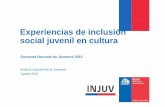 Experiencias de inclusión social juvenil en culturaconferencias.cepal.org/Inclusion_social2015/18/pdf/07 Natalie Vidal... · para todas las preguntas referidas a sexualidad, drogas