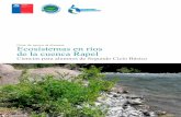 Guía de apoyo al docente Ecosistemas en ríos de la … · agua de las plantas para el proceso de la fotosíntesis. Indicadores de evaluación sugeridos: ... las plantas producen