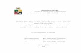 UNIVERSIDAD DE CHILE - Repositorio Académicorepositorio.uchile.cl/tesis/uchile/2010/qf-flores_e/pdfAmont/qf... · Cinética de la pérdida de humedad (b.h.) en chips de manzana para