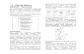 12. Oomicetos y mohos mucosos - MICROBIOTA oomicetos.pdf · del zoosporangio en el fitopatógeno Phytophthora infestans , por debajo de 15°C forma zoosporas pero por sobre los ...