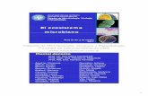 El ecosistema microbiano - microfcmunr.com.armicrofcmunr.com.ar/files/FilesElSer/2017-ESYSM-ElMundoMicrobiano.pdf · 3 Taxonomía-ÁrbolfilogenéticoÁrbol filogenético Familia Genero