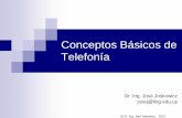 Conceptos Básicos de Telefonía - Sitio Oficialiie.fing.edu.uy/ense/asign/ccu/material/docs/Conceptos basicos de... · Penetración de las TICs (Extraído de ) 96,2 38,8 16,5 29,5