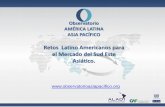 Retos Latino Americanos para el Mercado del Sud Este … · de discusión para el análisis de los temas ... Consideraciones de Modelo gravitacional Asean ...  OEM ...