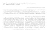 La historiografía de Monte Albán bajo el punto de vista ...ºmenes/Volumen 3... · Esta investigación parte del modelo de Imre Lakatos que trata al conocimiento dentro de un pro-