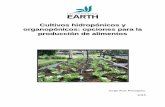 Cultivos hidropónicos y organopónicos: opciones para …usi.earth.ac.cr/glas/sp/Documentos 2015/Cultivos hidropónicos y... · Con el propósito de obtener resultados satisfactorios