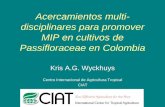 Acercamientos multi- disciplinares para promover MIP … · Acercamientos multi-disciplinares para promover MIP en cultivos de Passifloraceae en Colombia Kris A.G. Wyckhuys Centro