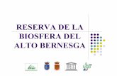 RESERVA DE LA BIOSFERA DEL ALTO BERNESGA · reserva de la biosfera del alto bernesga proyecto “gestiÓn territorial y ambiental para la conservaciÓn y ordenaciÓn de las unidades