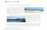 Provincia de C diz.doc) - - Web oficial de turismo de …€¦ · Provincia de Cádiz, turismo todo el año ... deportes de aventura, porque a esta tierra lo mismo se viene para ...