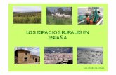 Espacios rurales España - GEOHISTORIAYMAS · España húmeda Interior Mediterráneo Montaña ... -Mano de obra numerosa (63% a ... -Aumento de los rendimientos.-Exportación A partir