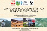 CONFLICTOS ECOLÓGICOS Y JUSTICIA AMBIENTAL EN COLOMBIAnLvZHwEOQ3QDFIrW... · Distribución de las concesiones del agua en Colombia Assessing equity and sustainability of water allocation