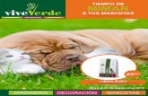 TIEMPO DE MIMAR - viveverde.esviveverde.es/wp-content/uploads/revista/revista vive verde... · Elige entre una amplia gama de plantas tropicales, adaptadas al cultivo dentro de casa.