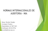 NORMAS INTERNACIONALES DE AUDITORIA - NIA … · Normas de Auditoría Generalmente Aceptadas], principalmente en los Estados Unidos (US-GAAS) y en el Reino Unido (UK-GAAS). ... MODERNIZAR