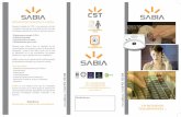 SABIA - bioingenieria.esbioingenieria.es/Documentos/TELEASISTENCIA1.pdf · La teleasistencia es un servicio de atención permanente a través de la línea telefónica, que permite