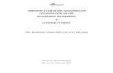 REPORTE AVANCE DEL CONVENIO DE …consejominero.cl/wp-content/themes/consejominero/img/collahuasi.pdf · Planta de Molibdeno Piloto sistema KVAR Instalación de un condensador de
