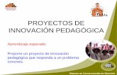 PROYECTOS DE INNOVACIÓN PEDAGÓGICA - …cebajoseolaya.com/wp-content/uploads/2012/05/PROYECTO-DE-IN…UNIDAD DE CAPACITACIÓN EN GESTIÓN MINISTERIO DE EDUCACIÓN PROYECTOS DE INNOVACIÓN