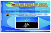 EDITOR EN JEFE - agrofaz.mx · AGOSTO ISSN: 1665-88922010 Efecto de dosis y momento de aplicación de lombricomposta en la producción de cebollita cambray( ). ... Microorganismos