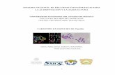 SISTEMA NACIONAL DE RECURSOS FITOGÉNETICOS PARA … · métodos químicos y físicos para la separación de cromosomas en especies vegetales (Ferrer-Pereira et al., 2007; Levitus