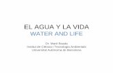 EL AGUA Y LA VIDA - clubderoma.net€¦ · EL AGUA Y LA VIDA WATER AND LIFE . Dr. Martí Boada . Institut de Ciència i Tecnologia Ambientals . Universitat Autònoma de Barcelona