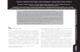 Nuevos registros de hongos micorrizógenos …revistamexicanademicologia.org/wp-content/uploads/2012/10/Vol.-36... · La extracción de esporas se realizó mediante el método de