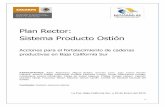 Plan Rector: Sistema Producto Ostión - gbcbiotech.com · Sistema Producto Ostión Acciones para el fortalecimiento de cadenas productivas en Baja California Sur ... Se acota la competitividad