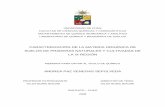CARACTERIZACIÓN DE LA MATERIA ORGÁNICA DE SUELOS DE PRADERAS NATURALES Y …repositorio.uchile.cl/tesis/uchile/2008/qf-venegas_a/... · 2011-05-19 · 3.2 Humedad 3.3 pH ... 3.5