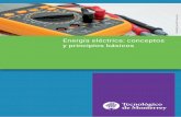 Energía eléctrica: conceptos y principios básicosmooclab.mty.itesm.mx/docs/P2 - Balance de Potencia.pdf · 2 . Objetivo de la práctica . Determinar la potencia entregada o consumida