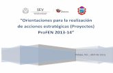 de acciones estratégicas (Proyectos) ProFEN 2013-14” · -Jornadas de observación y práctica docente. -Actividades de práctica intensiva. ... -Programa para el desarrollo de