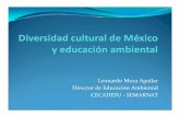 Leonardo Meza Aguilar Director de Educación … cultural de Mexico... · movilización de los distintos grupos sociales 9Este incorporada con el mismo enfoque en todos los niveles
