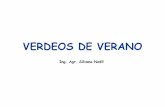 VERDEOS DE VERANO - :: Sitio web del …prodanimal.fagro.edu.uy/cursos/PASTURAS CRS/09 - Verdeos estivales... · verdeos de verano para pastoreo 1-caracterÍsticas ambientales para
