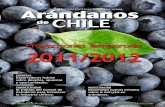Proyecciones Temporada 2011/2012 - apama.com.ar · E-mail contacto@portalfruticola.com Edición Especial Internacional Arándanos de Chile, es una publicación elaborada y distri-buida