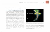 CAPÍTULO 3 Fundamentos clínicos de fisiología y …media.axon.es/pdf/97481_1.pdf · bases para la comprensión del crecimiento, desarrollo y adaptación de este sistema. ... zaban