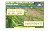 COSECHA Y EXPORTACIÓN DE AVENA - inebiobio.cl .pdf · más altos en el año 2011, siendo cereales en grano el producto que representa el 91,3% de las exportaciones regionales al