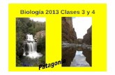 Biología 2013 Clases 3 y 4 - biolunrn.files.wordpress.com · CADENA TRÓFICA 0 CADENA ALIMENTARIA Throphe = alimentación Flujo de energía y nutrientes entre diferentes especies