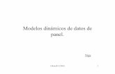 Modelos dinámicos de datos de Siga - uah.es · J.Muro(8/12/2003) 2 Modelos dinámicos de datos de panel (lineales). • Relajación del supuesto de exogeneidad estricta de los regresores.