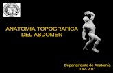 ANATOMIA TOPOGRAFICA DEL ABDOMEN€¦ · • Definición y Concepto • Rectos y Músculos ... • Órganos retroperitoneales ... • Órganos intraperitoneales. ORGANOS PERITONIZADOS