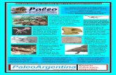 Paleo, Boletín Paleontológico. Año 4. Numero 15. …geocities.ws/prehistoria_argentina/paleoboletin015.pdfPaleo, Boletín Paleontológico. Año 4. Numero 15. Página 2 de 32. 2