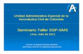 Unidad Administrativa Especial de laUnidad … UAEAC_Crnl... · Unidad Administrativa Especial de laUnidad Administrativa Especial de la Aeronáutica Civil de Colombia Seminario Taller