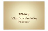 “Clasificación de los insectos” - EFA ORETANA · Apterigota Endopterigota Colémbola Thysanura Coleóptera Díptera Lepidóptera Himenópteros Orden * Solo se mencionan los ordenes