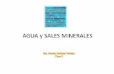 AGUA y SALES MINERALES - nutricion2013 · Clasificación de moléculas inorgánicas y orgánicas Moléculas inorgánicas: Agua (75 -85%) Sales minerales (2-3%) Ciertos gases (CO …