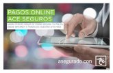 PAGOS ONLINE ACE SEGUROS - acegroup.com · pagos online ace seguros ahora puedes pagar de forma segura tu pÓliza desde internet a travÉs de nuestro sitio web