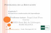 Profesor-tutor: Ángel José Pozo García UNED-Sant Boi …drago.intecca.uned.es/download... · Teorías conductuales del aprendizaje: Explicaciones sobre el aprendizaje que se enfocan