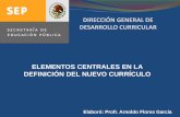 ELEMENTOS CENTRALES EN LA DEFINICIÓN DEL … centrales... · Cuatro Pilares de la educación (Informe Delors) Competencias planteadas en el Plan de Estudios de Primaria en México.