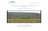 ESTUDIO DE IMPACTO AMBIENTAL DE LA MINA … · Estudio de Impacto Ambiental Pag. 12 ANTECEDENTES Arenas ... Impacto ambiental para la mina de ... Cumplir con la normatividad minera