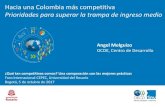 Hacia una Colombia más competitiva Prioridades para ... · En ningún caso pretende emitir juicios ... 2006 2007 2008 2009 2010 2011 2012 2013 2014 ... class are middle-income households