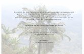 Revisin de literatura - corantioquia.gov.co · Estudio de las Poblaciones y Estrategia de Conservación para Tres Especies de Palmas ... base tanto en el listado de las plantas amenazadas