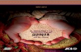 PRODUCCIÓN DE QUINUA - iica.int · La comercialización de la quinua en Arequipa 92 4.5. Evolución de los precios y su impacto sobre el consumo 95 4.5.1. Precio de la quinua en
