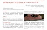 TERAPIA LARVAL APLICADA A UN CASO CLÍNICO … · larval, a través de un caso clínico de una úlcera en pierna con tejido necrosado, ... quemaduras de tercer grado, heridas infectadas